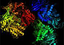 HIV病毒蛋白质新的三维图像